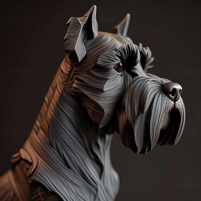 Zwergschnauzer dog