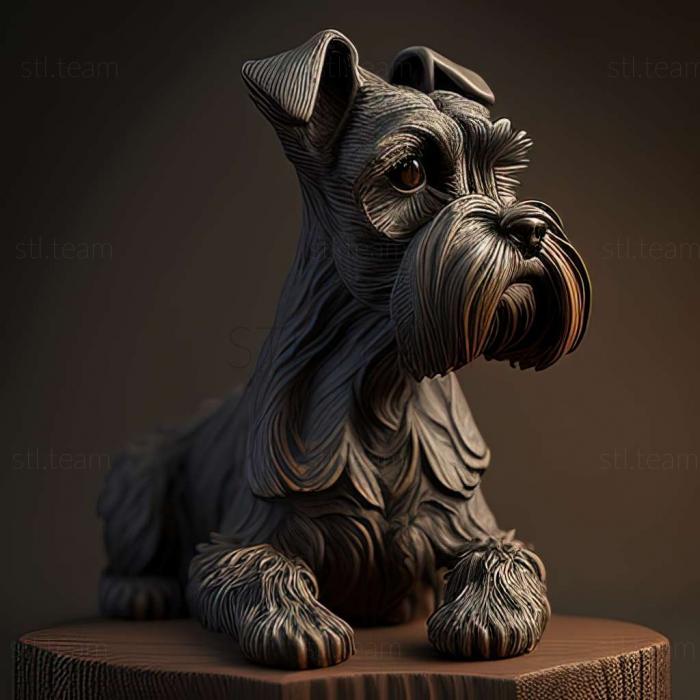 Animals Zwergschnauzer dog