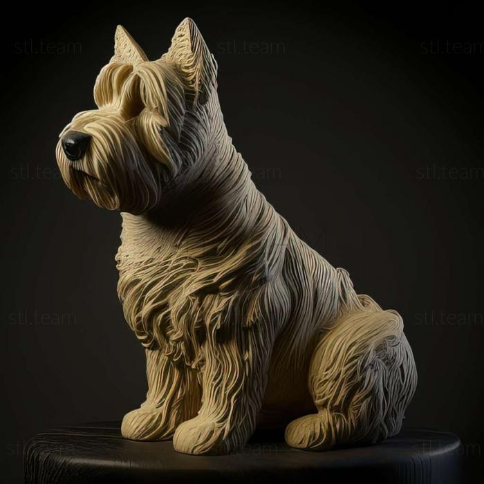 Animals Flanders Bouvier dog