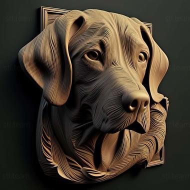 3D model Dunker dog breed dog (STL)