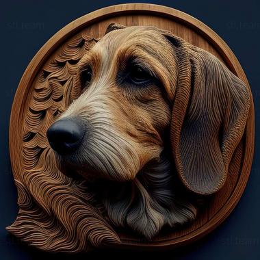 3D model English Raccoon Hound dog (STL)