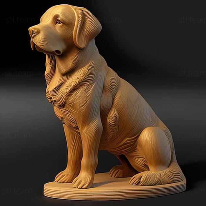 3D модель Собака породи новошотландський ретривер (STL)