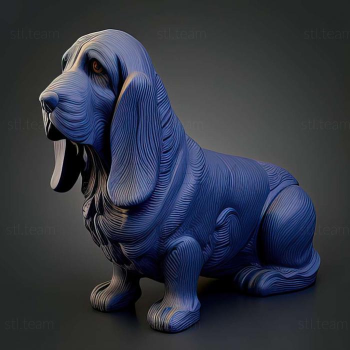 Animals Blue Gascon Basset dog