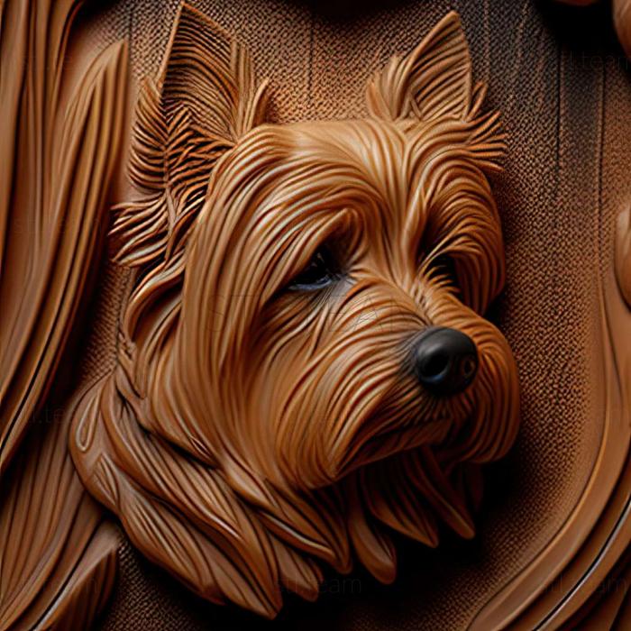 3D model Australian Silky Terrier dog (STL)