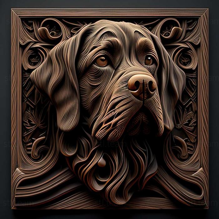 Animals The Hound of Artoise dog