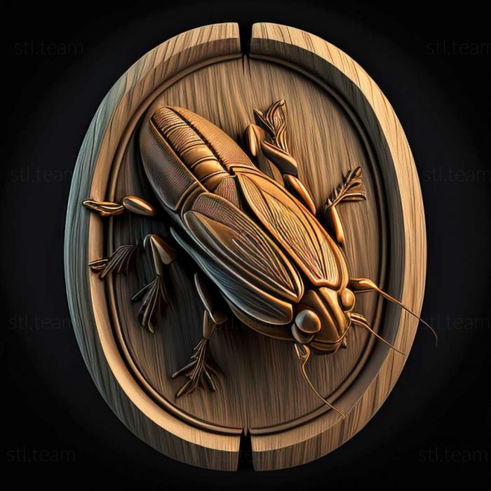 3D model Hope cockroach famous animal (STL)