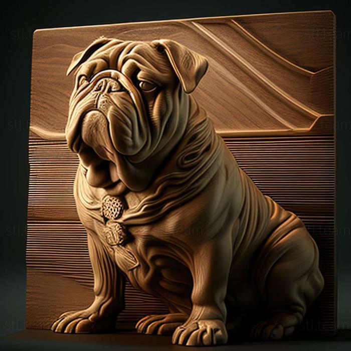 Animals English Bulldog dog