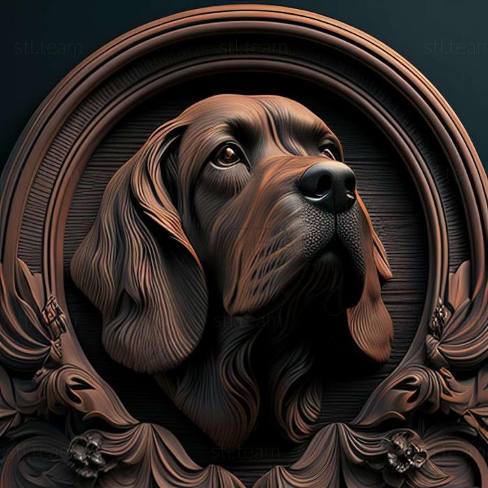 The Hound of Artoise dog