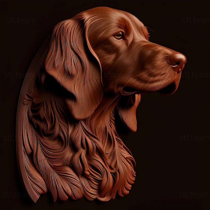 Animals Irish Red Setter dog