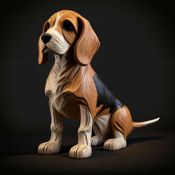 Animals Anglo French Small Hound dog