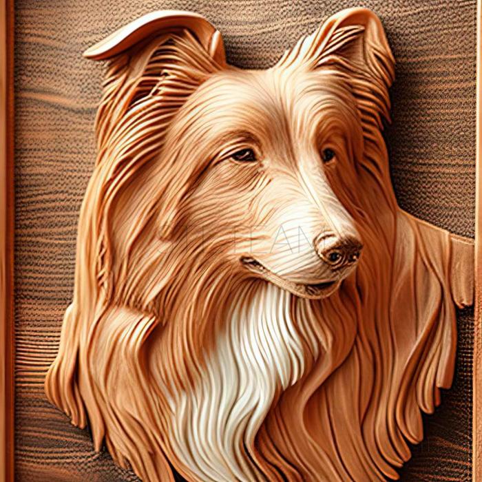 3D model Long   haired Collie dog (STL)