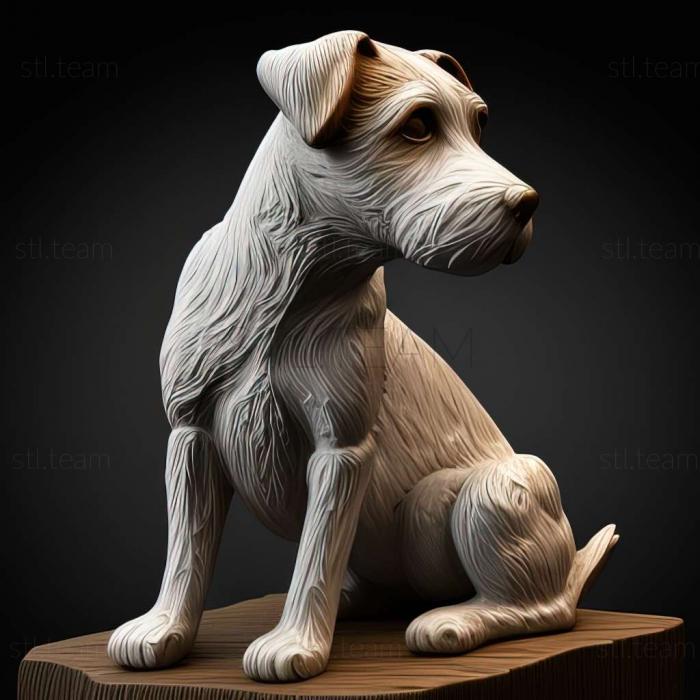 Animals Parson Russell Terrier dog