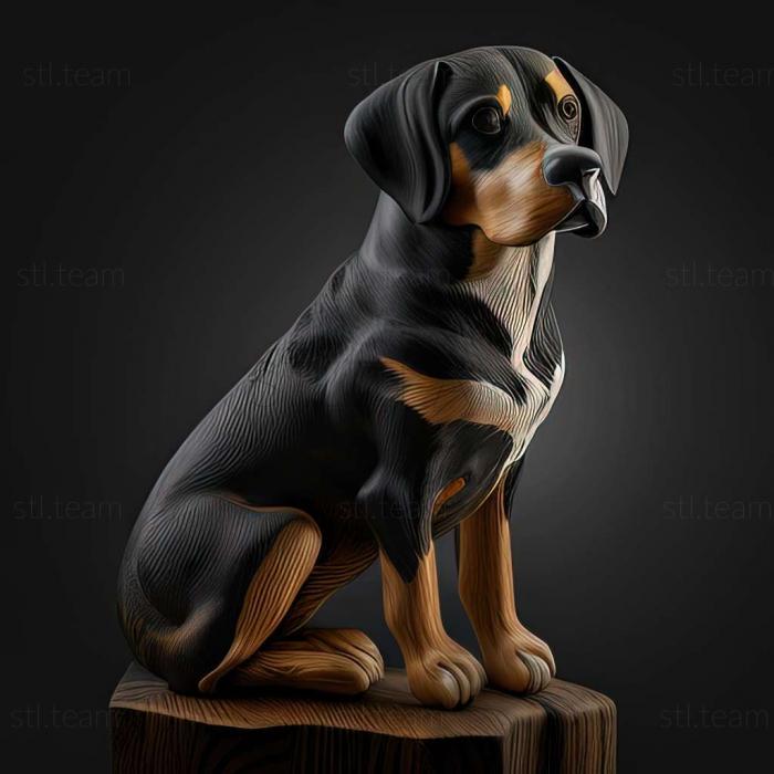 3D model Entlebucher sennenhund dog (STL)