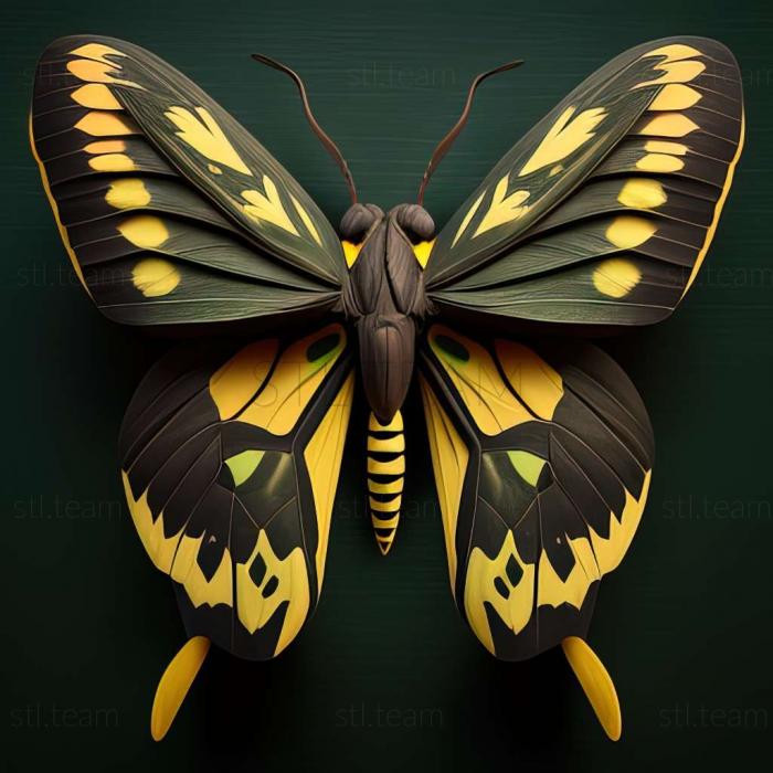 3D model Ornithoptera aesacus (STL)