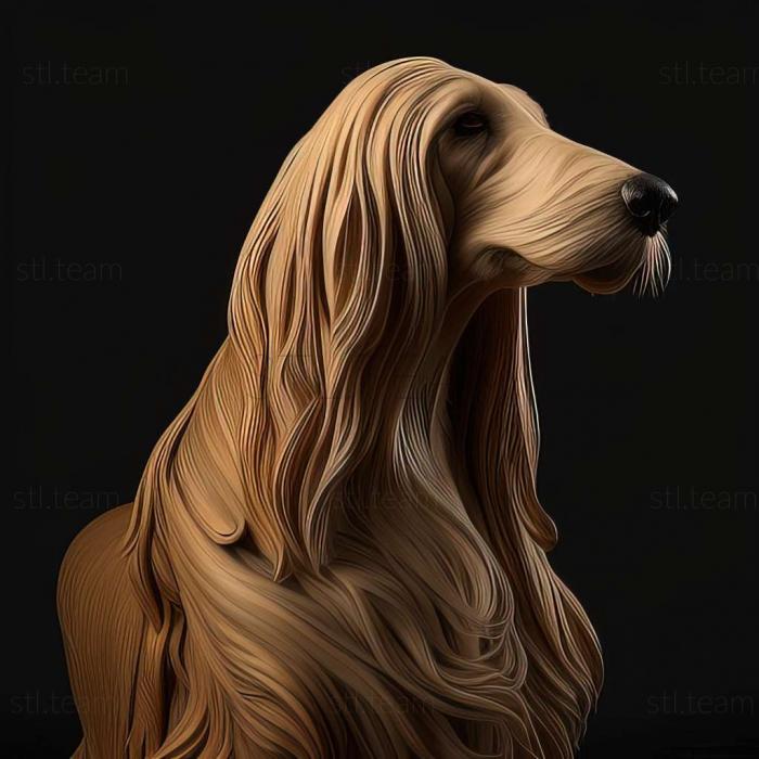 3D model The Afghan Hound dog (STL)