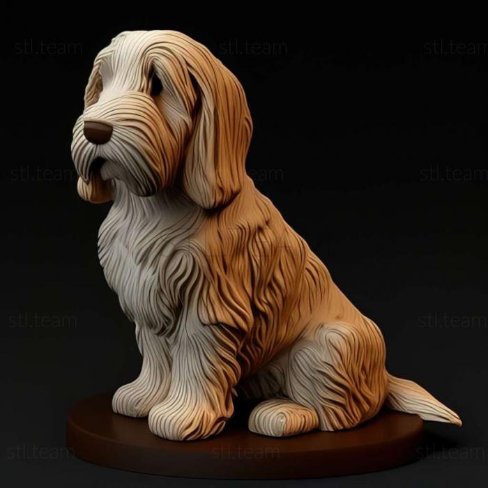 Small Vendean Basset Griffon dog