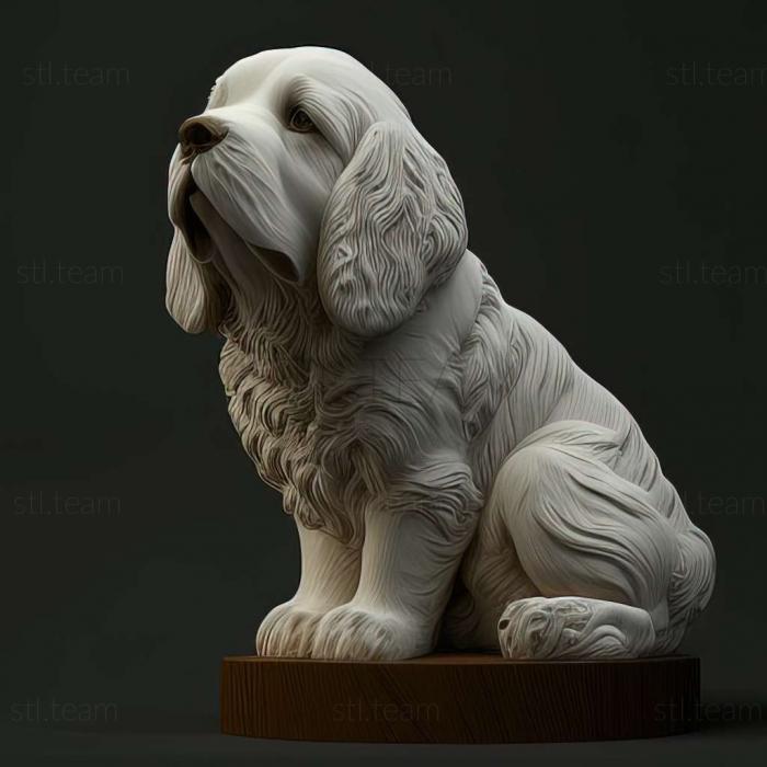 Clumber Spaniel dog