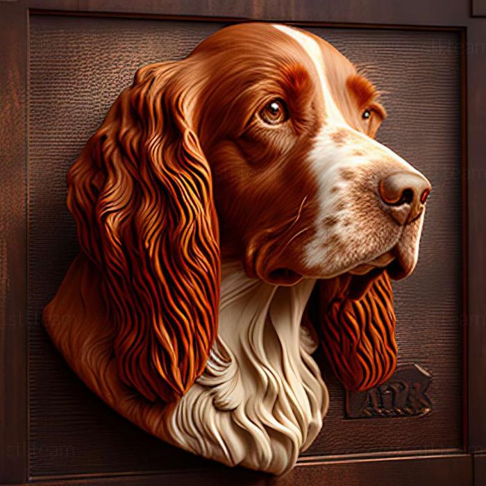 Animals Welsh Springer Spaniel dog