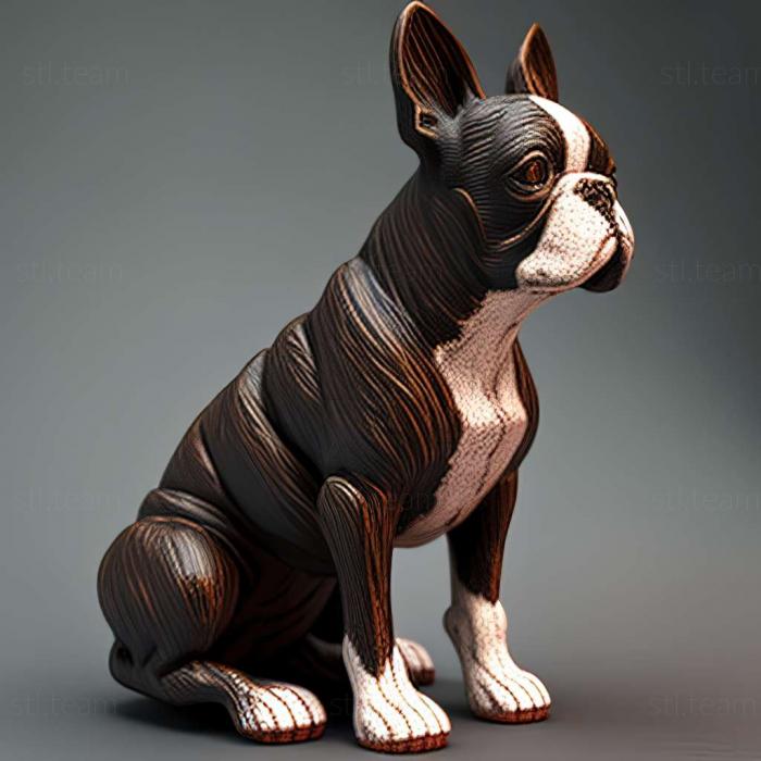 3D model Boston Terrier dog (STL)