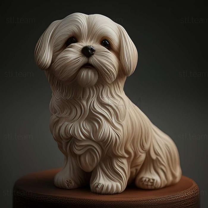 3D model Maltese Lapdog dog (STL)