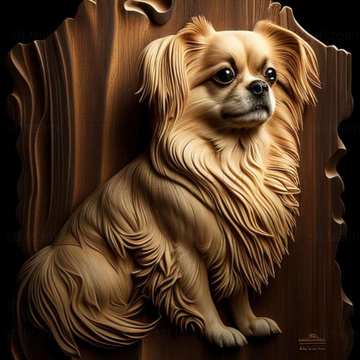 Animals Tibetan Spaniel dog