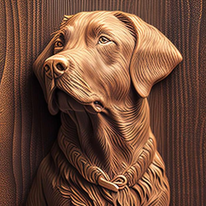 3D model Chesapeake Bay Retriever dog (STL)