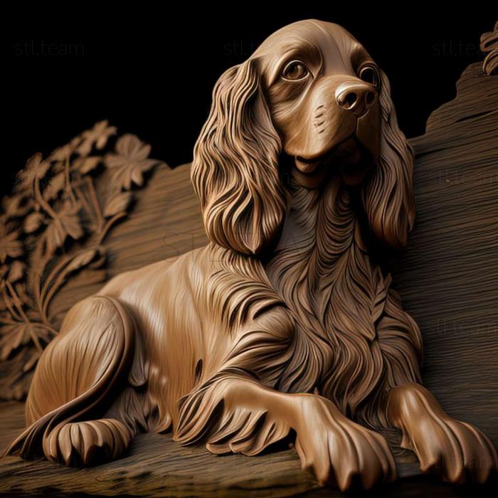 Animals Pont Audemer Spaniel dog