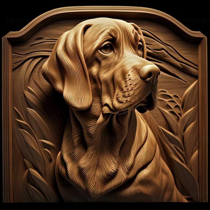 3D model The Italian Hound dog (STL)