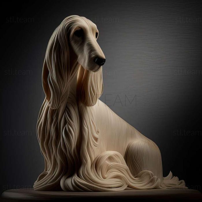 The Afghan Hound dog