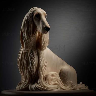 3D model The Afghan Hound dog (STL)