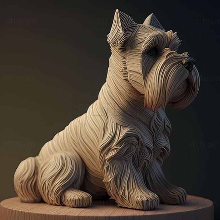 Zwergschnauzer dog