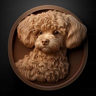 3D model Chien particolor a poile frise dog (STL)