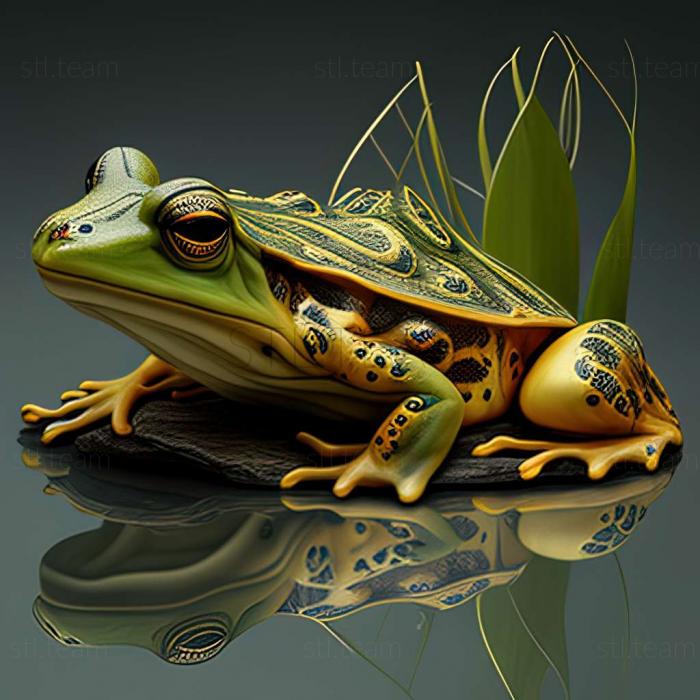 3D model Pelophylax chosenicus (STL)