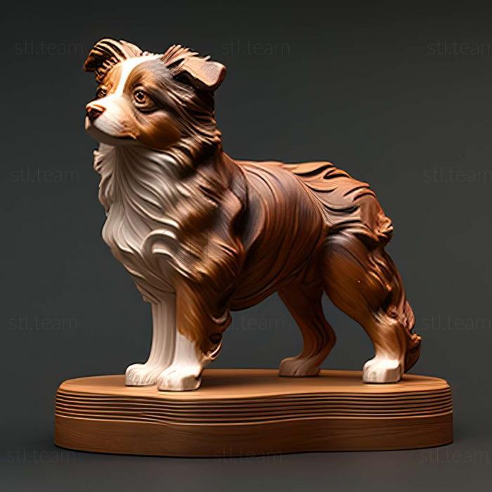 3D model Miniature American Shepherd dog (STL)