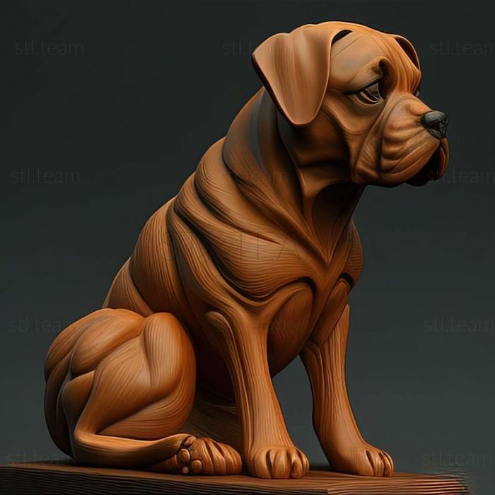 3D model Volpino Italiano dog (STL)