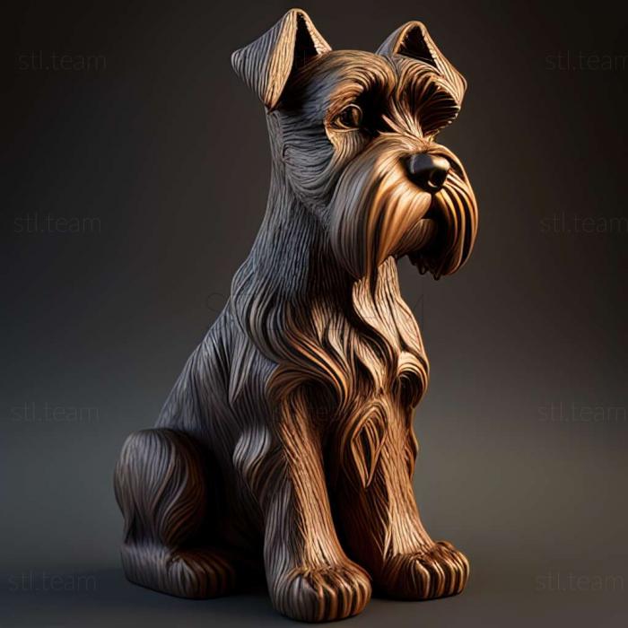 Animals Zwergschnauzer dog