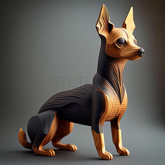 Animals English Toy Terrier dog