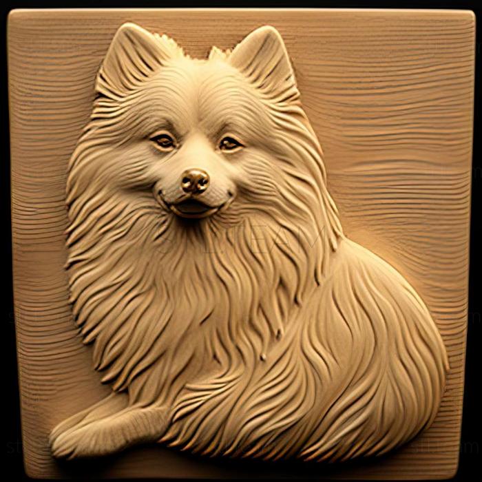 3D model American Eskimo dog (STL)