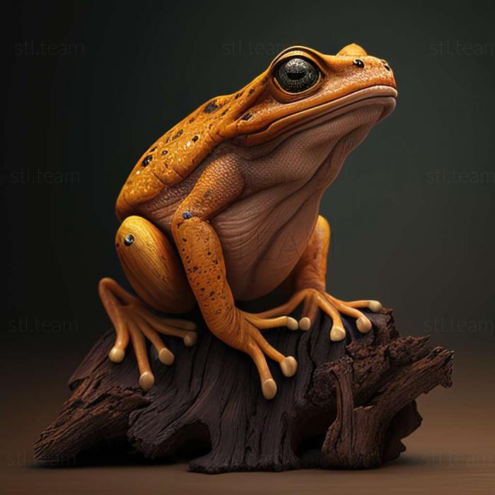 3D model Litoria andiirrmalin (STL)