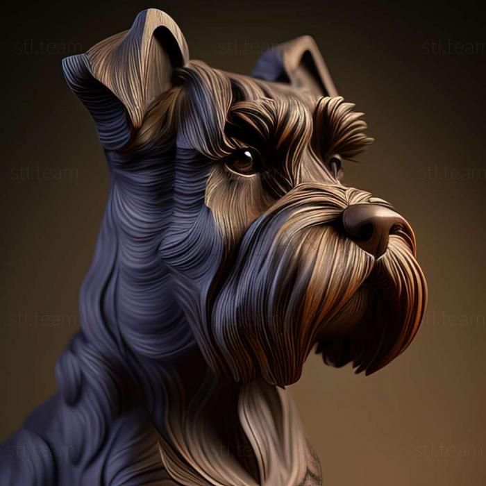 Zwergschnauzer dog