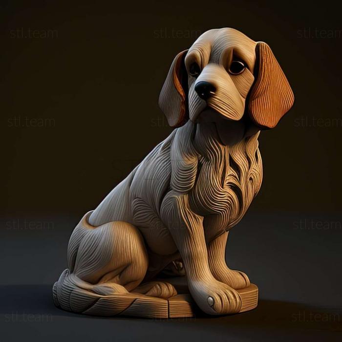 Animals Anglo French Small Hound dog