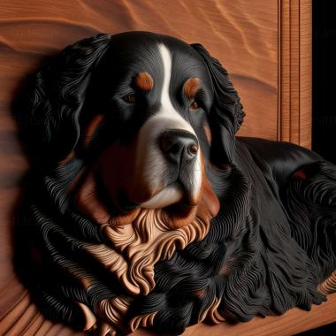 3D model Bernese Mountain dog (STL)