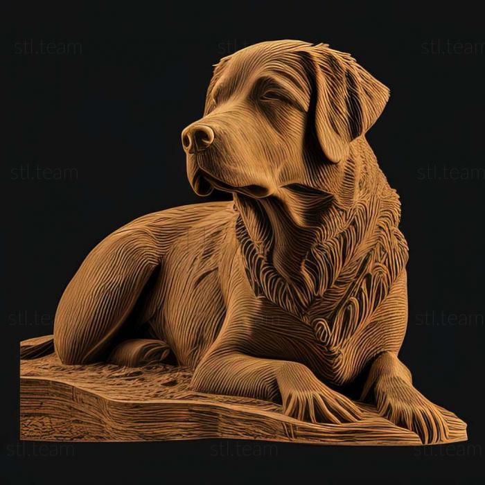 3D модель Чесапик бей ретривер собака (STL)