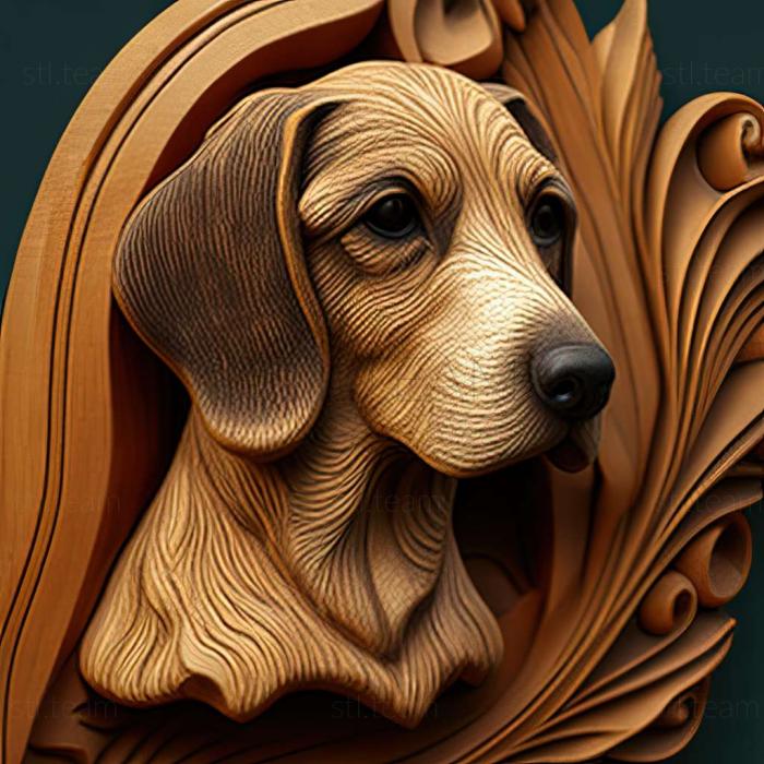 3D model Anglo French Small Hound dog (STL)