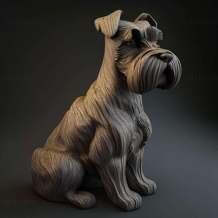 Animals Zwergschnauzer dog