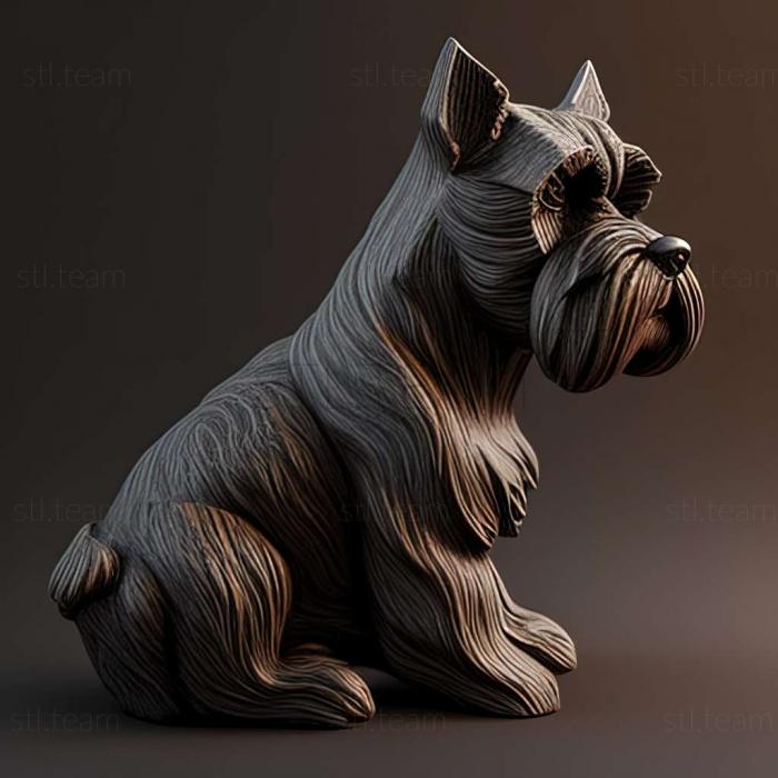 Zwergschnauzer dog