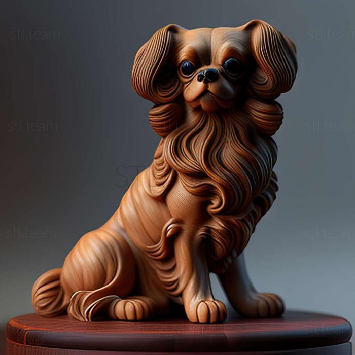 Continental Toy Spaniel dog