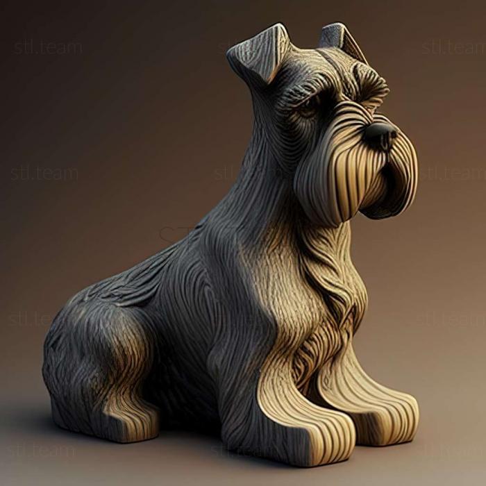 Animals Zwergschnauzer dog