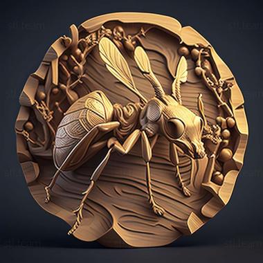 3D model Camponotus edmondi (STL)