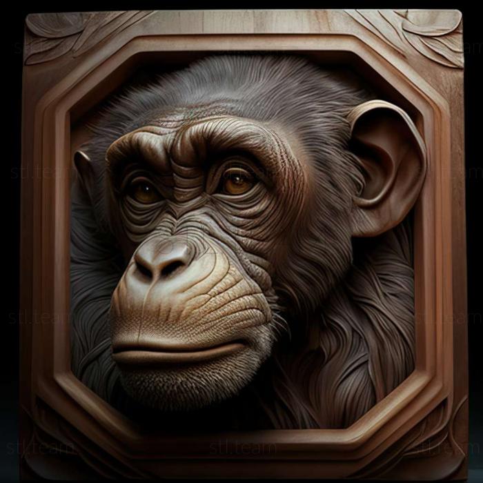 Nim Chimpsky famous animal